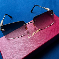 Vintage “Le Leopard” Frames sunglasses