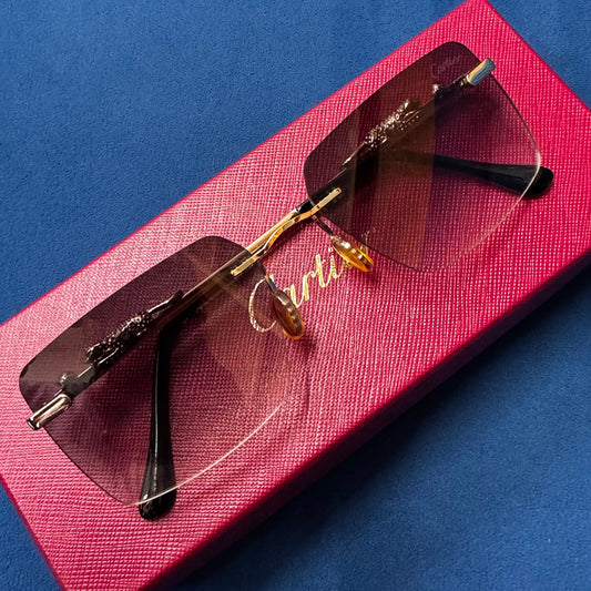 Vintage “Le Leopard” Frames sunglasses