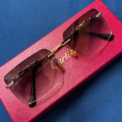 Vintage “Le Leopard” Frames sunglasses
