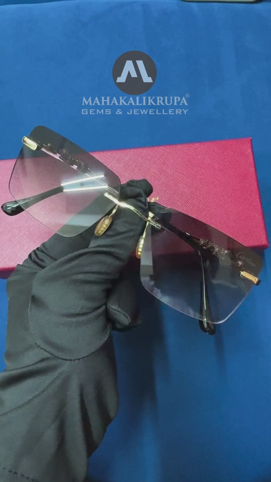 Vintage “Le Leopard” Frames sunglasses